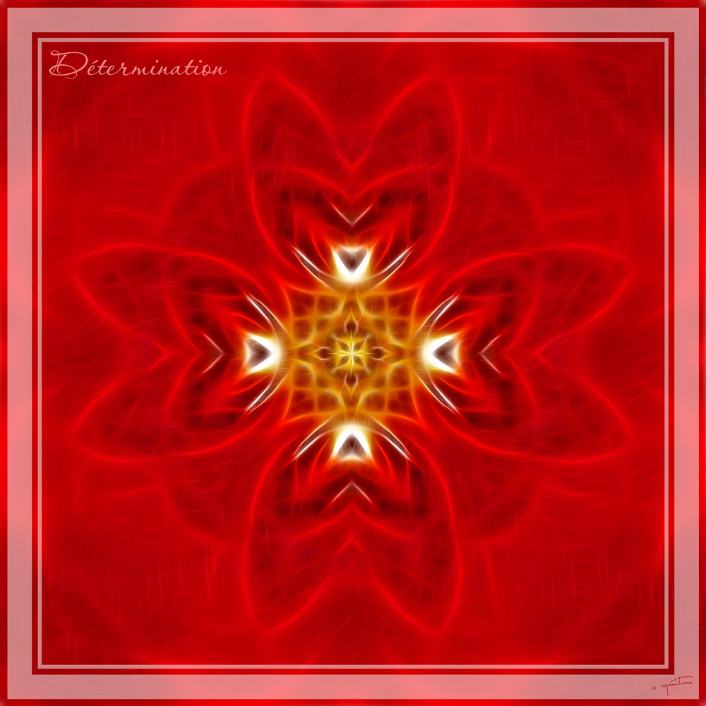 Mandala de la Détermination
