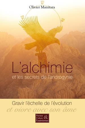 L'alchimie et les secrets de l'androgynie