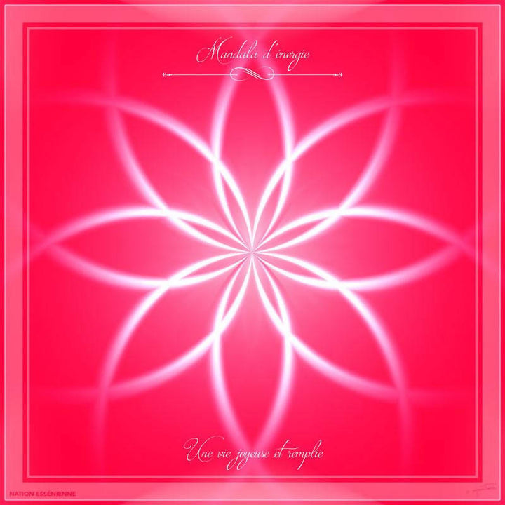 Une vie joyeuse et remplie - Mandala d'énergie